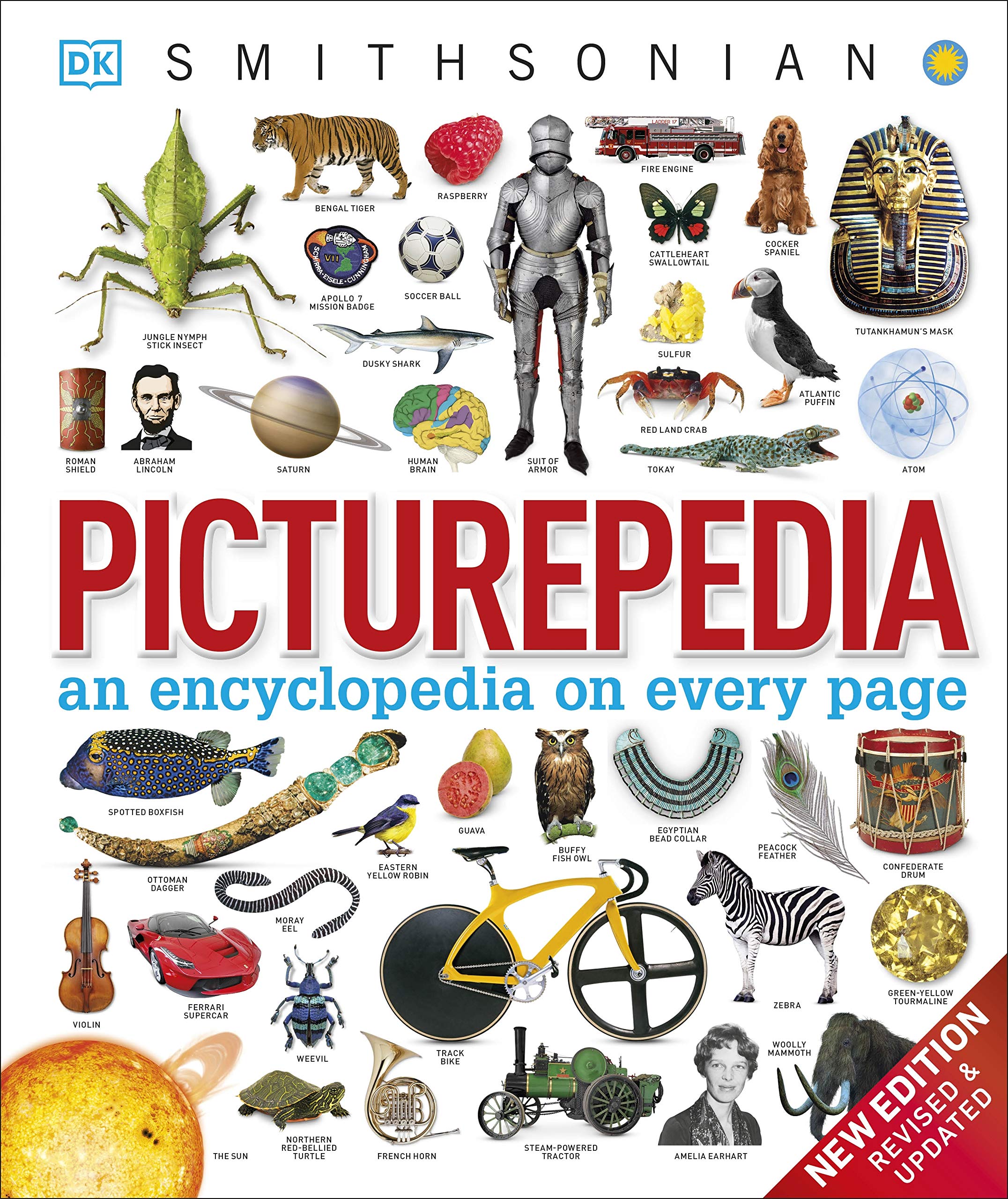 Picturepedia: An Encyclopedia on Every Page (Kindle Edition)