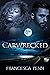 Carwrecked (Summer Boyfriend Series)