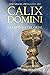 CALIX DOMINI by José Miguel Ortega del Río