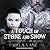 A Touch of Stone and Snow by Milla Vane