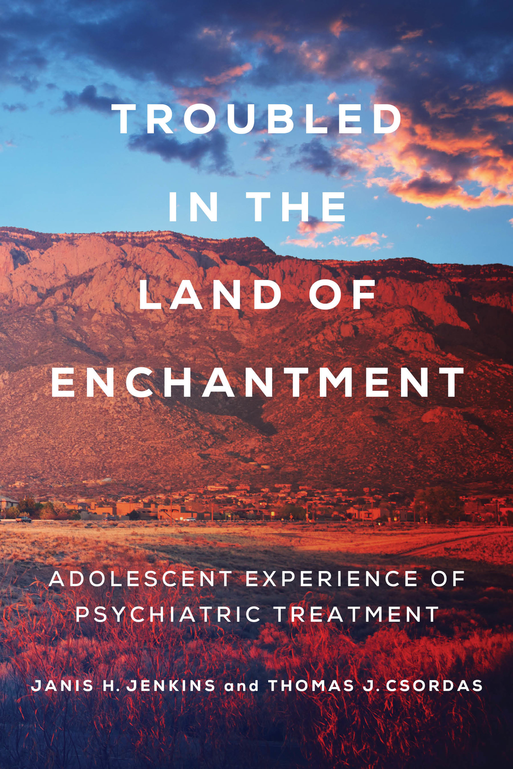 Troubled in the Land of Enchantment: Adolescent Experience of Psychiatric Treatment (Hardcover)