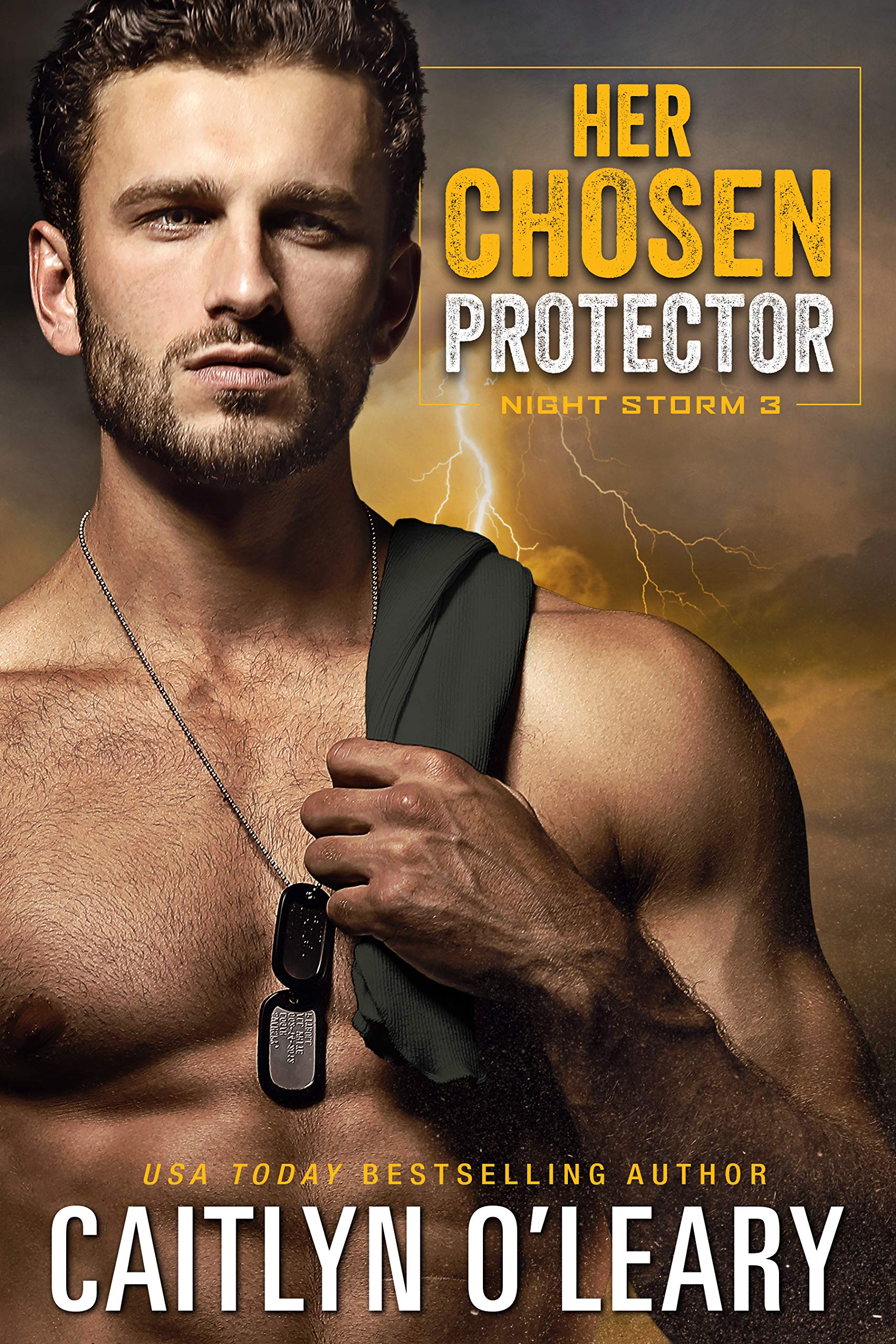 Her Chosen Protector (Night Storm, #3)