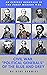 CIVIL WAR "POLITICAL GENERALS" OF THE BLUE AND GREY by Gene Schmiel