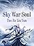 Sky War Soul by Tuo BaLiuYun