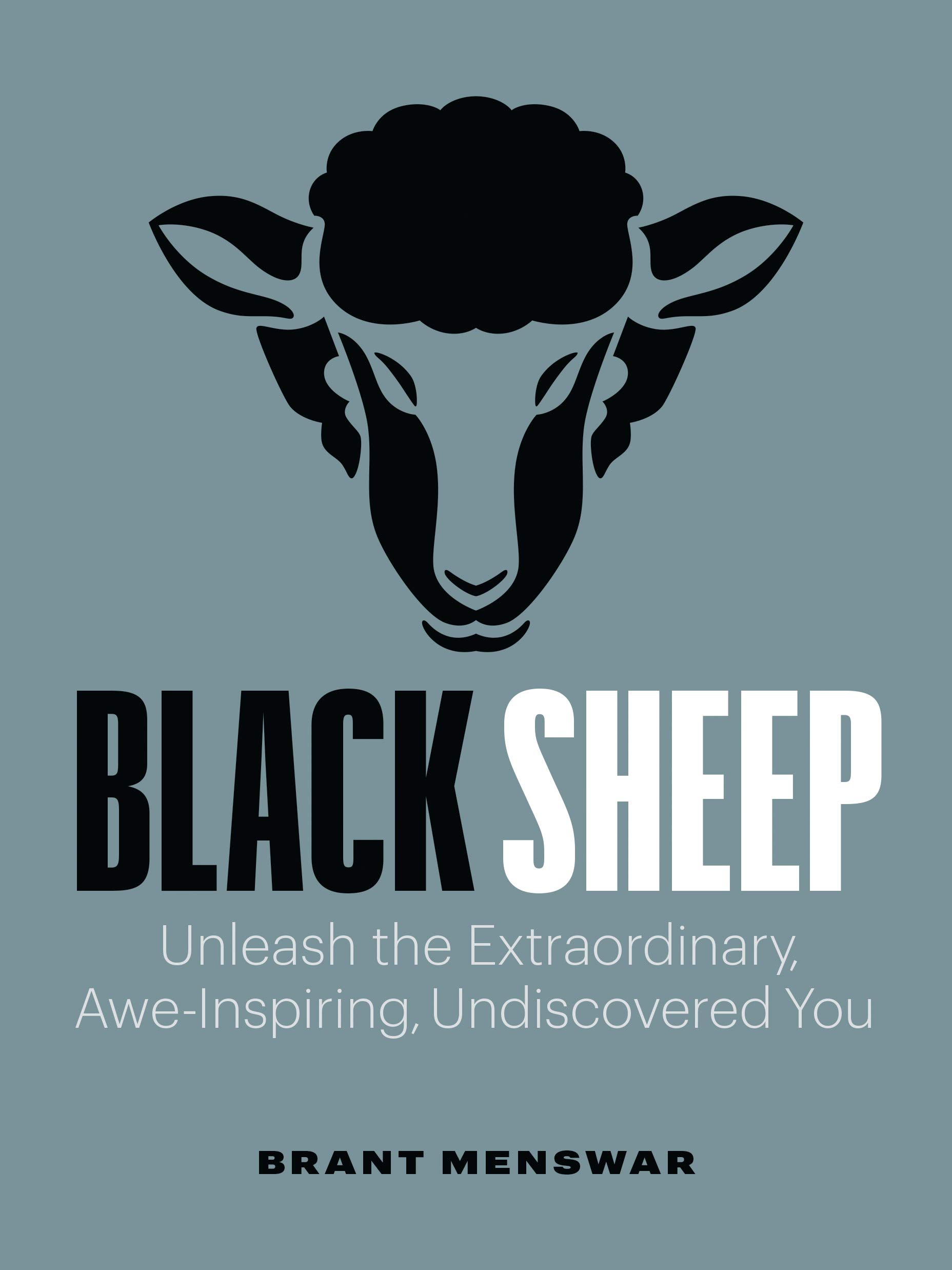 Black Sheep: Unleash the Extraordinary, Awe-Inspiring, Undiscovered You (Kindle Edition)
