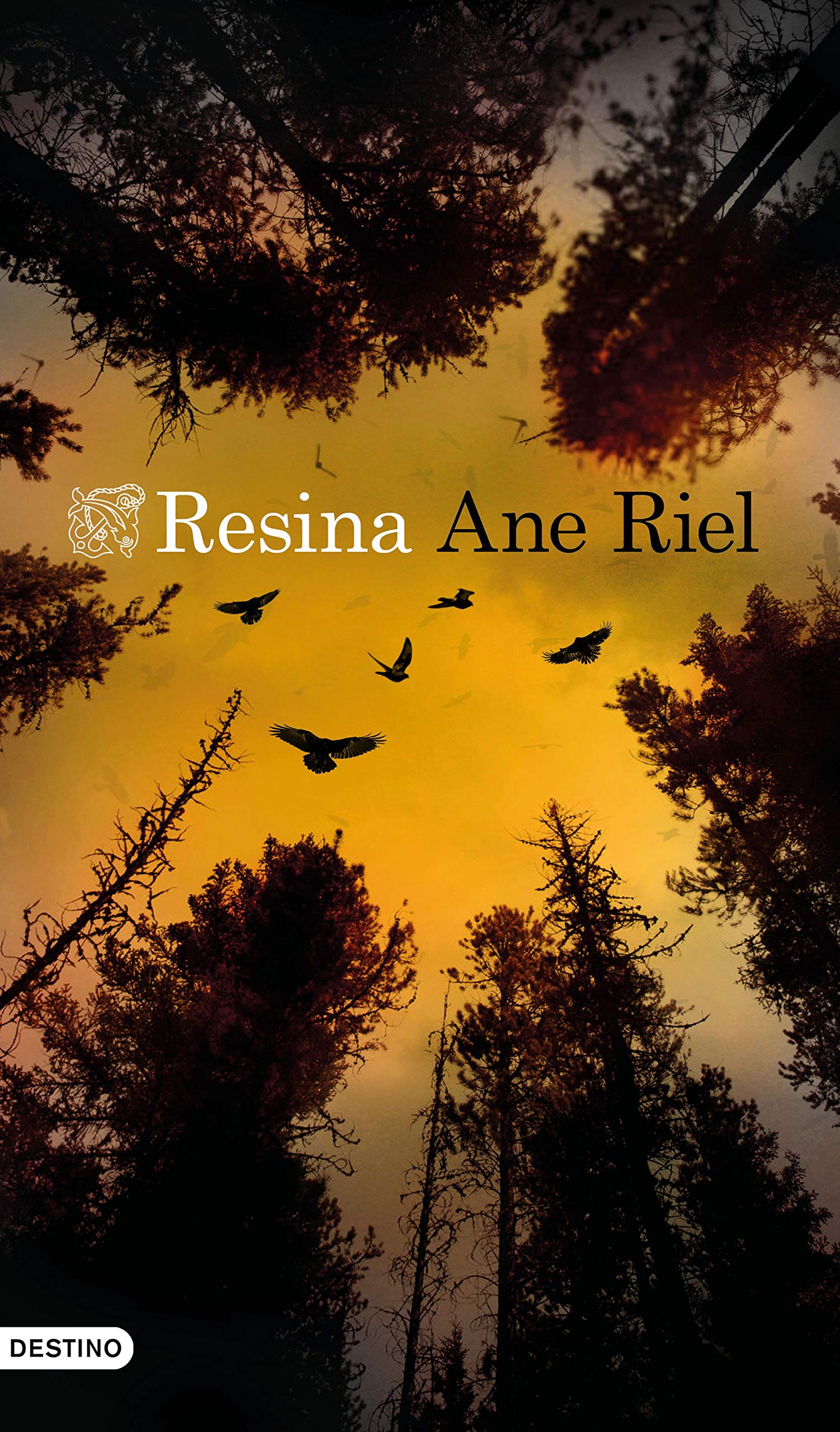 Portada de Resina, de Ane Riel