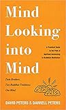 Mind Looking into Mind: A Practical Guide to the Path of Spiritual Awakening in Buddhist Meditation