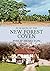 In Search of the New Forest Coven