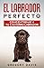 El Labrador Perfecto: Cómo ...