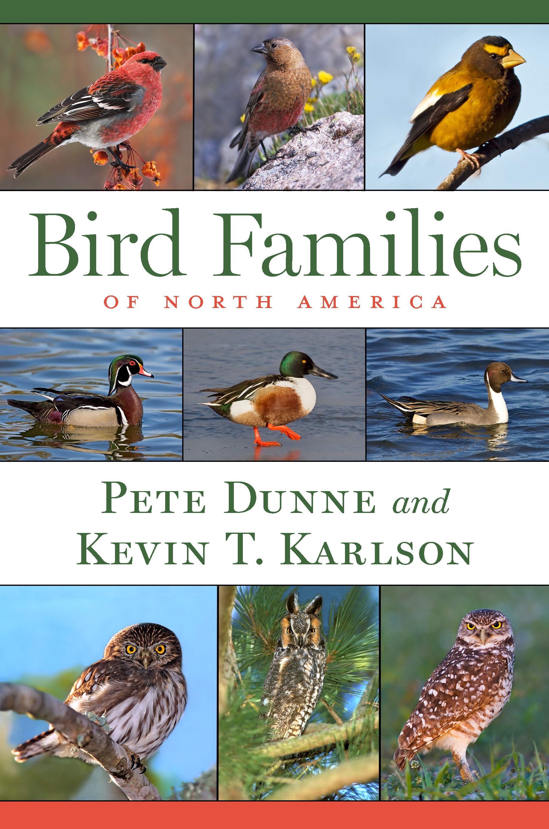Bird Families Of North America (Hardcover)