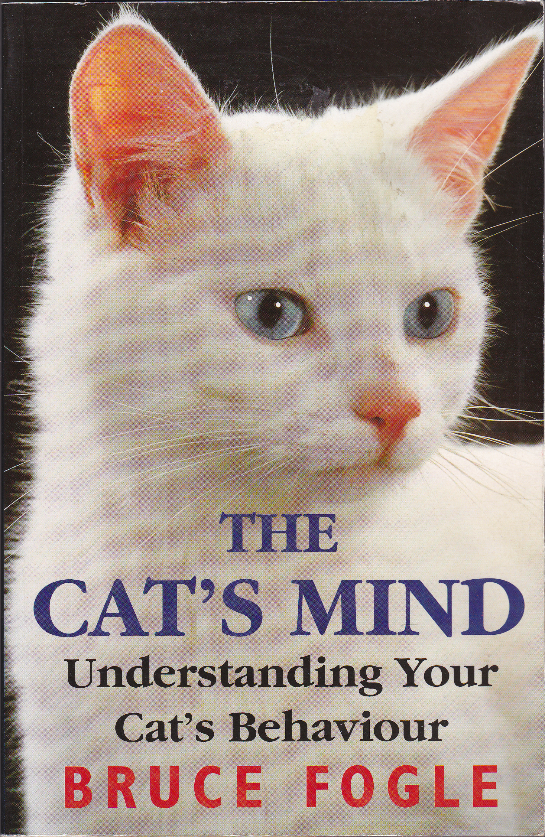 The Cat's Mind: Understanding Your Cat's Behaviour