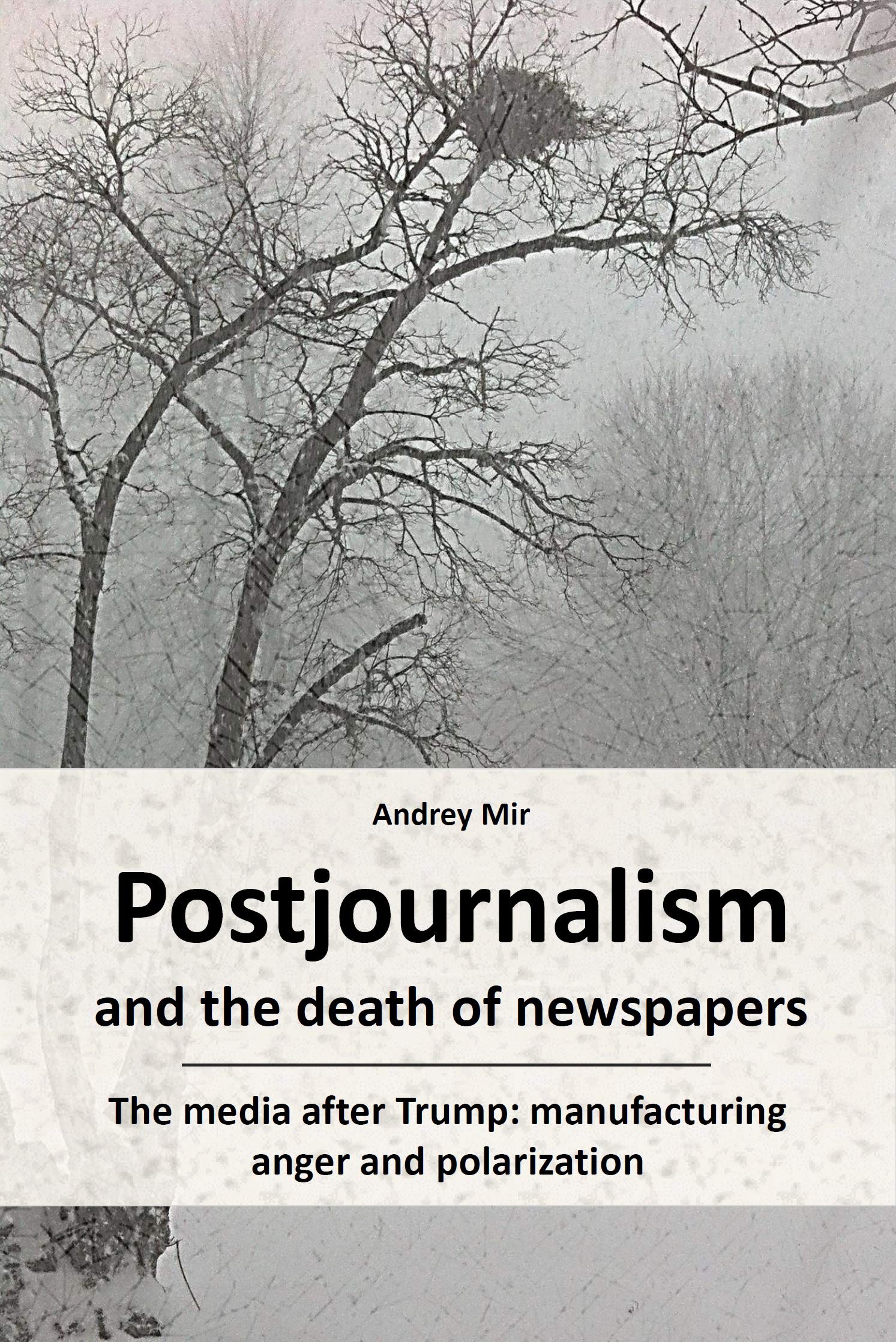 Postjournalism and the death of newspapers. The media after Trump: manufacturing anger and polarization (Kindle Edition)