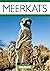 Meerkats: Essential Wildlife