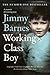 Working Class Boy (Working Class Boy, #1)