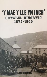 'Y Mae y Lle yn Iach': Chwarel Dinorwig 1875-1900 (Paperback)