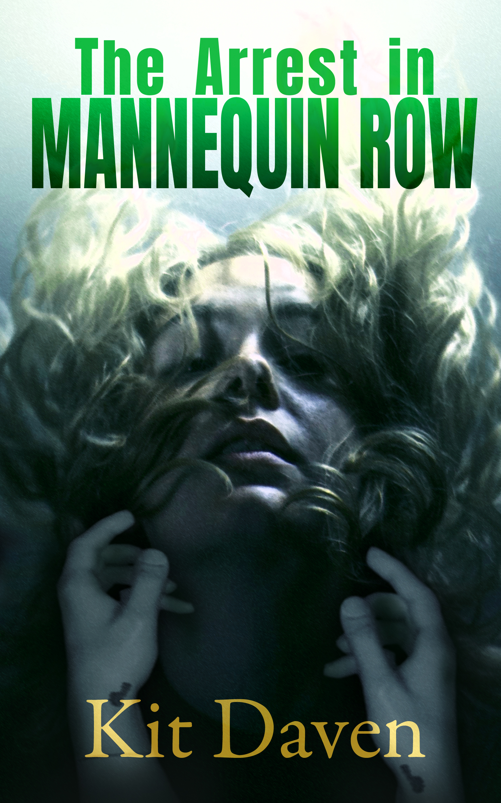 The Arrest in Mannequin Row
