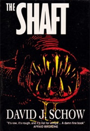The Shaft