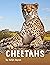 Cheetahs (Animals)
