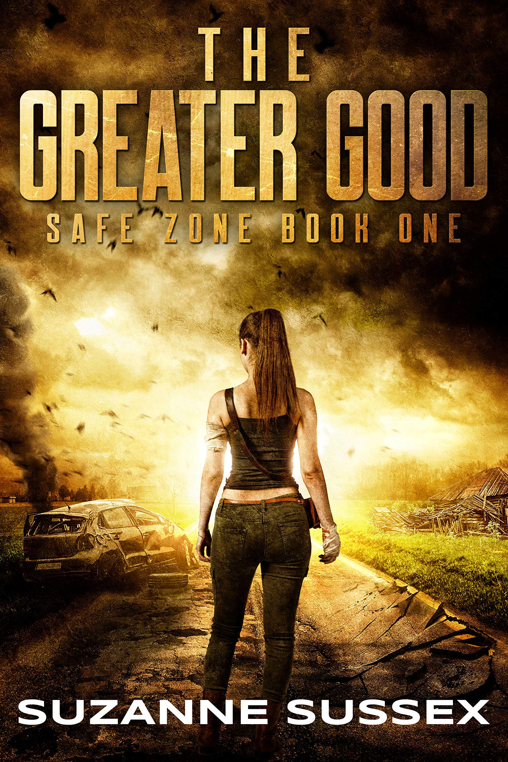 The Greater Good (Safe Zone, #1)