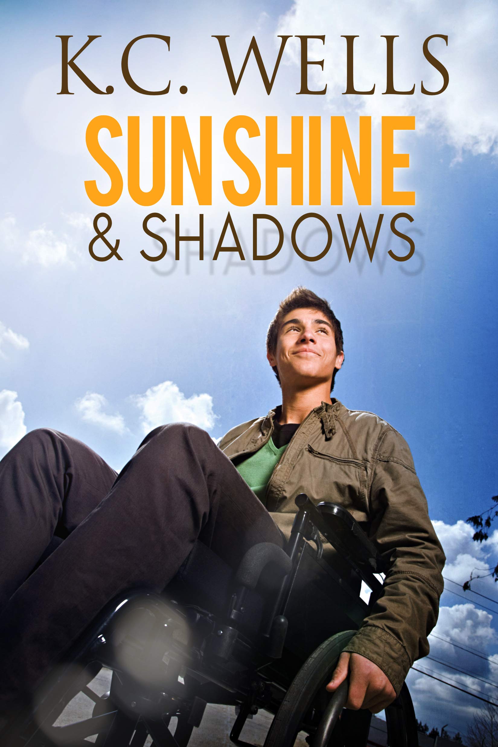 Sunshine & Shadows (Kindle Edition)