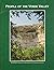 People of the Verde Valley