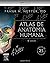 Atlas de Anatomia Humana : FRANK H. NETTER, MD (Edição Especial de 25 anos Livro 6) (Portuguese Edition)
