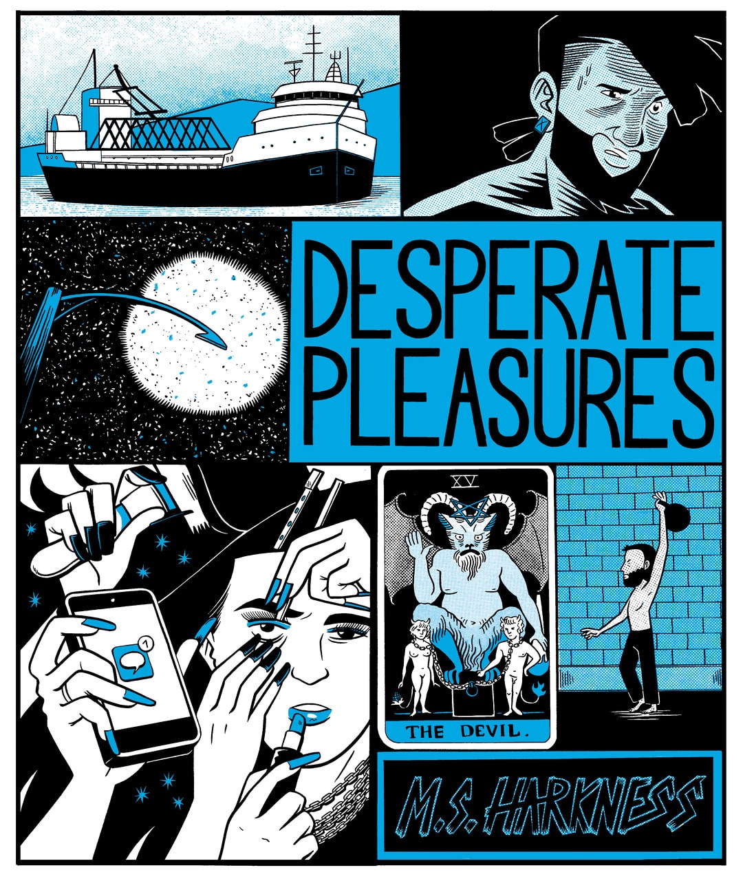 Desperate Pleasures (Paperback)