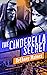 The Cinderella Secret (The ...