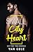 Small City Heart by Van Cole
