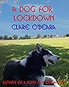 A Dog for Lockdown by Clare O'Beara