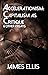 Accelerationism: Capitalism as Critique & Other Essays