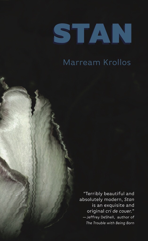Stan (Paperback)