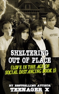 Sheltering Out of Place (Love in the Age of Social Distancing, #3)