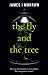 The Fly and the Tree