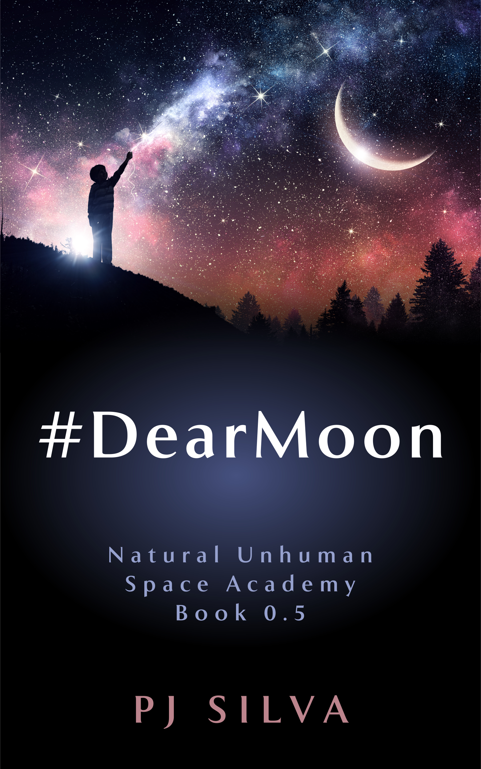 #DearMoon (NUSA 0.5)