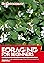 Foraging For Beginners by Mona Greeny