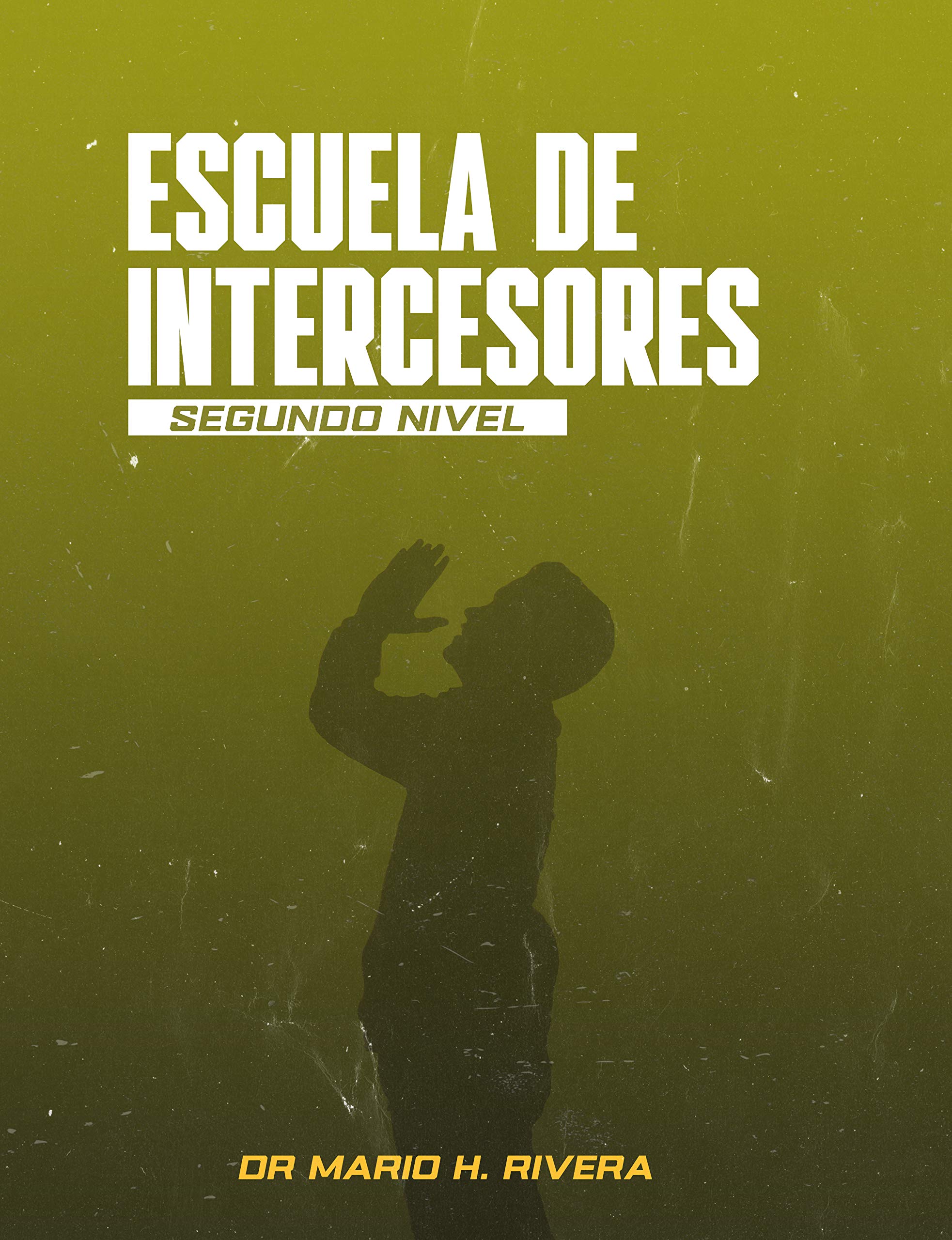 ESCUELA DE INTERCESORES SEGUNDO NIVEL.: RED GLOBAL DE INTERCESORES (Spanish Edition)