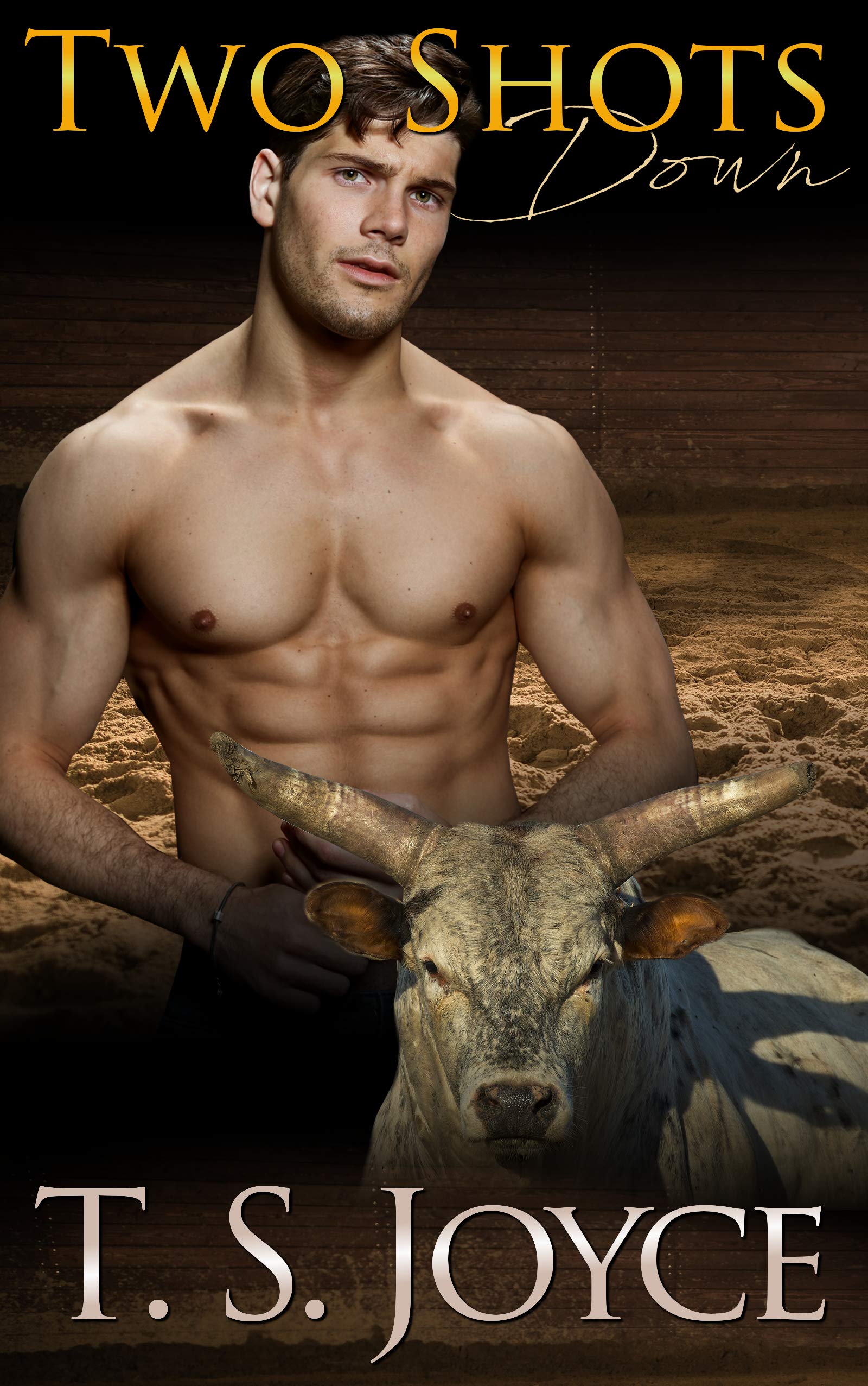 Two Shots Down (Battle of the Bulls, #1)