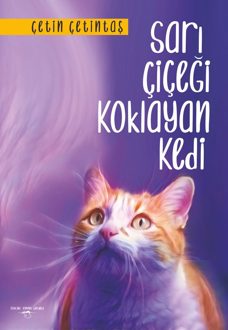 Sarı Çiçeği Koklayan Kedi