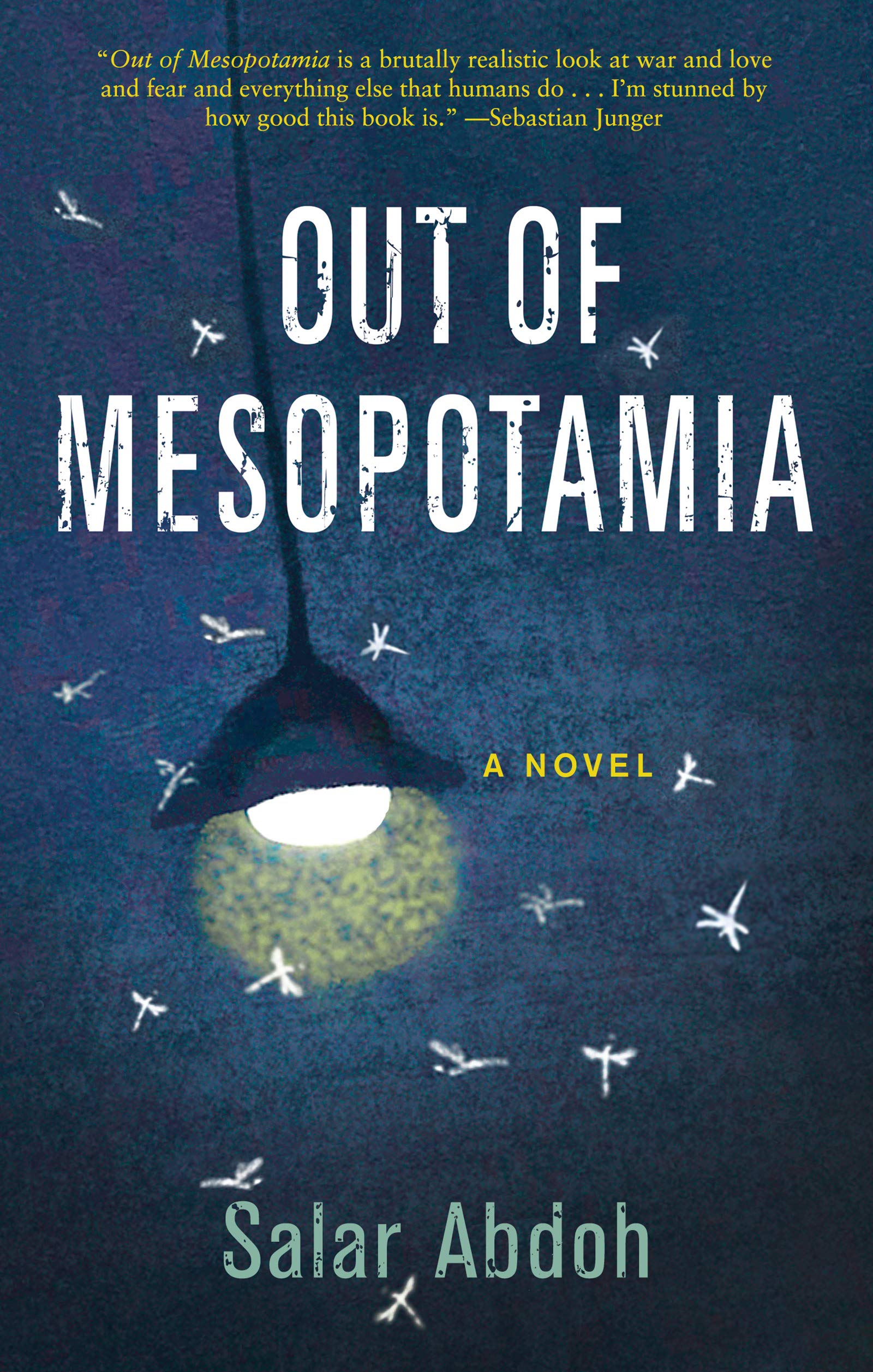 Out of Mesopotamia (Kindle Edition)