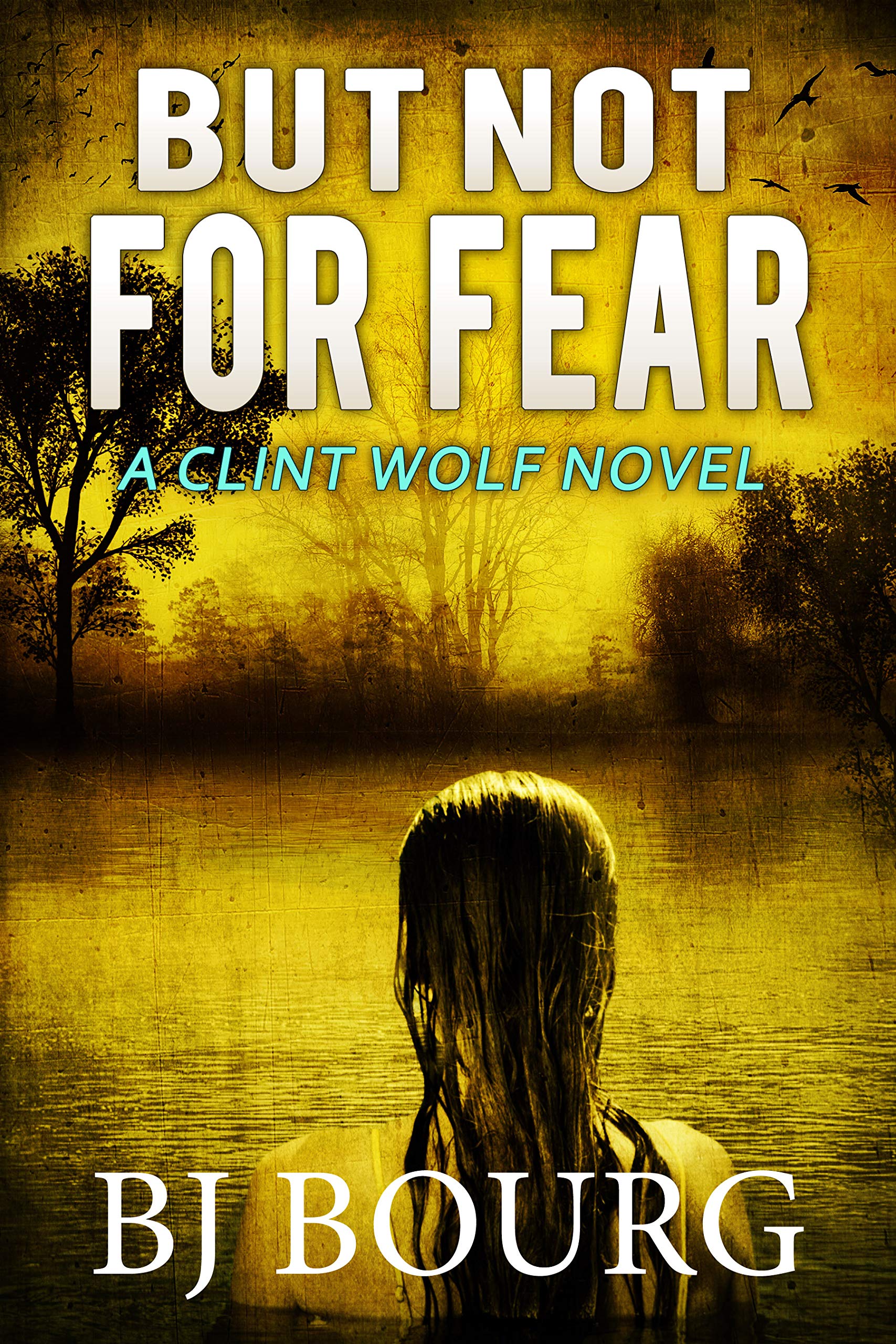 But Not For Fear (Clint Wolf, #17)