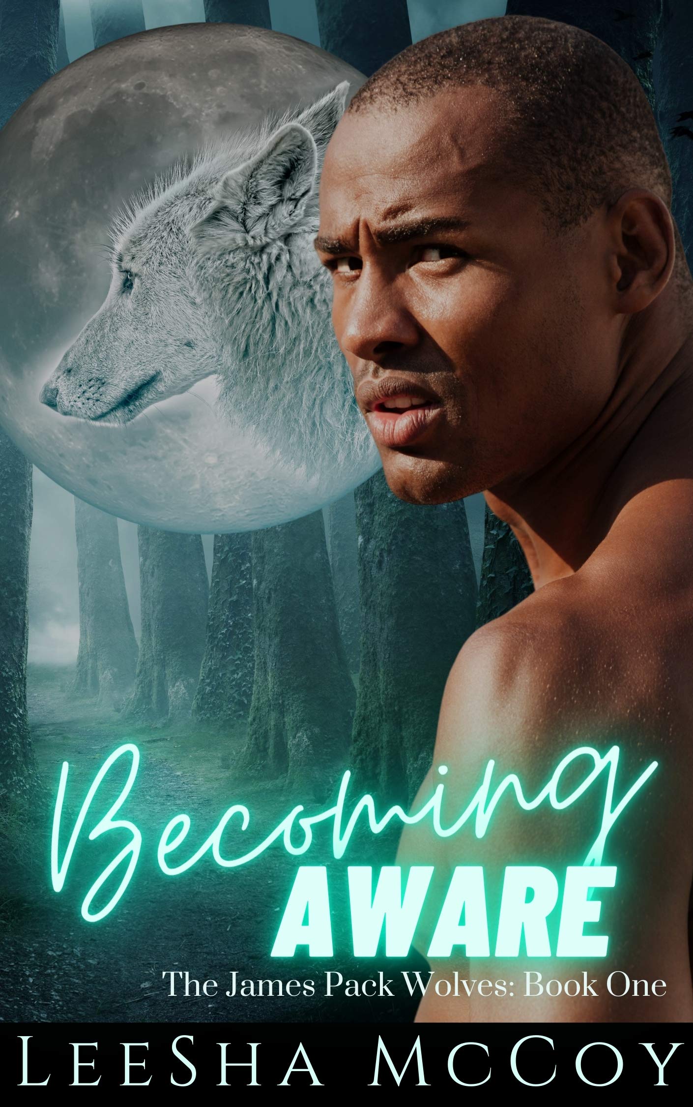 Becoming Aware (The James Pack Wolves #1)