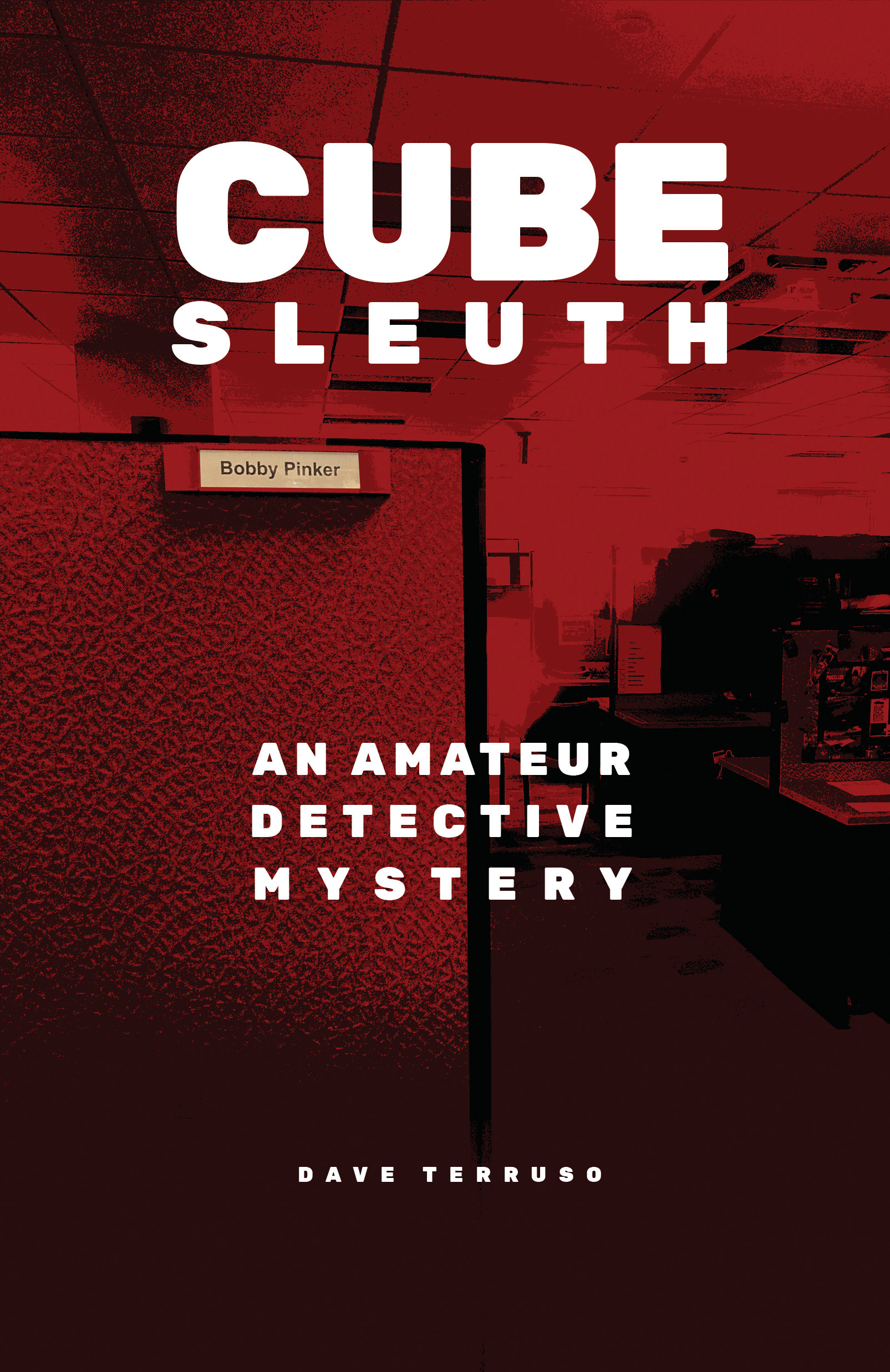 Cube Sleuth: An Amateur Detective Mystery