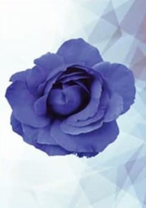 Kompilasi Zine Biru : Bunga Biru (ebook)