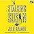 Stalking Susan (Riley Spartz, #1)