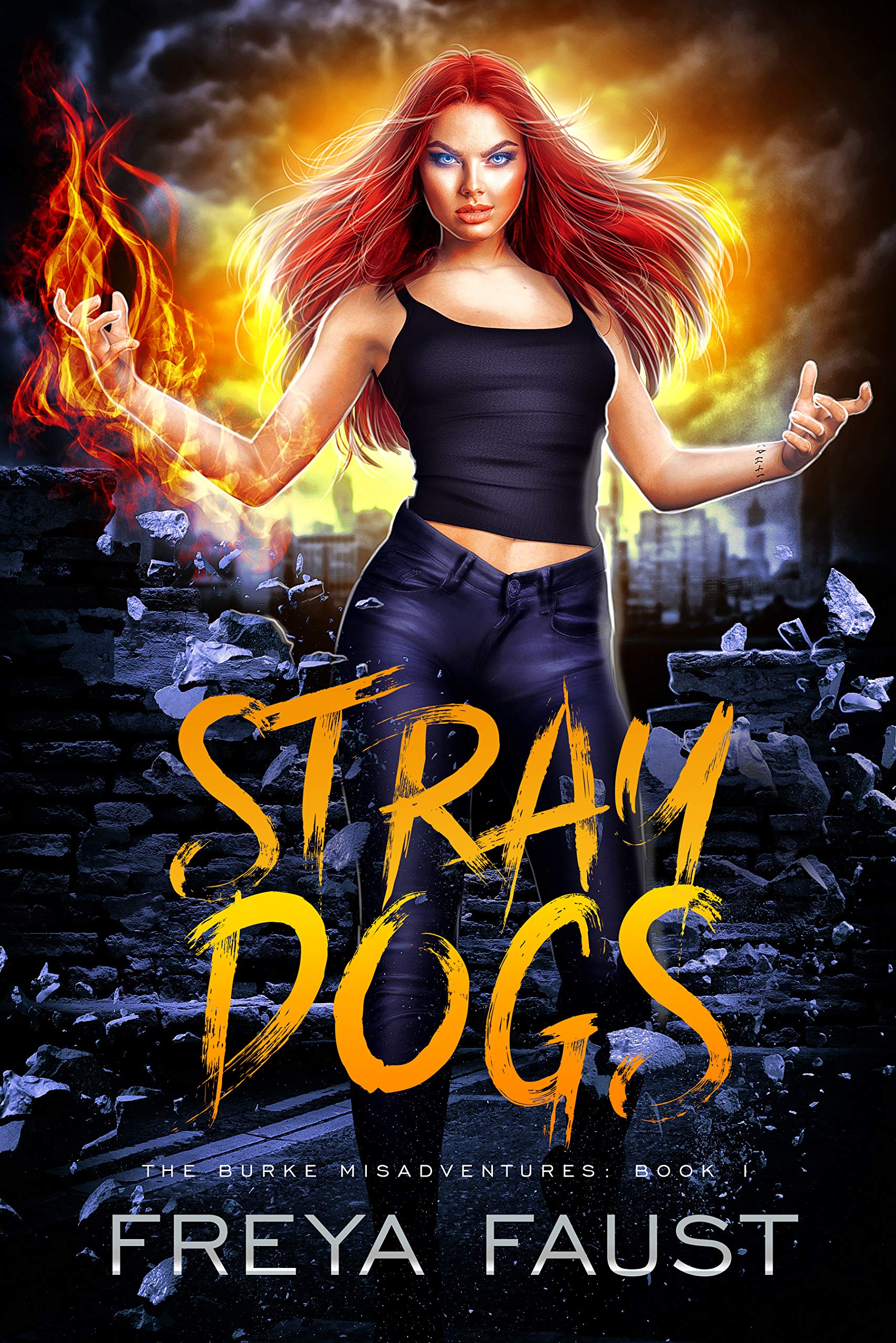 Stray Dogs (The Burke Misadventures, #1)