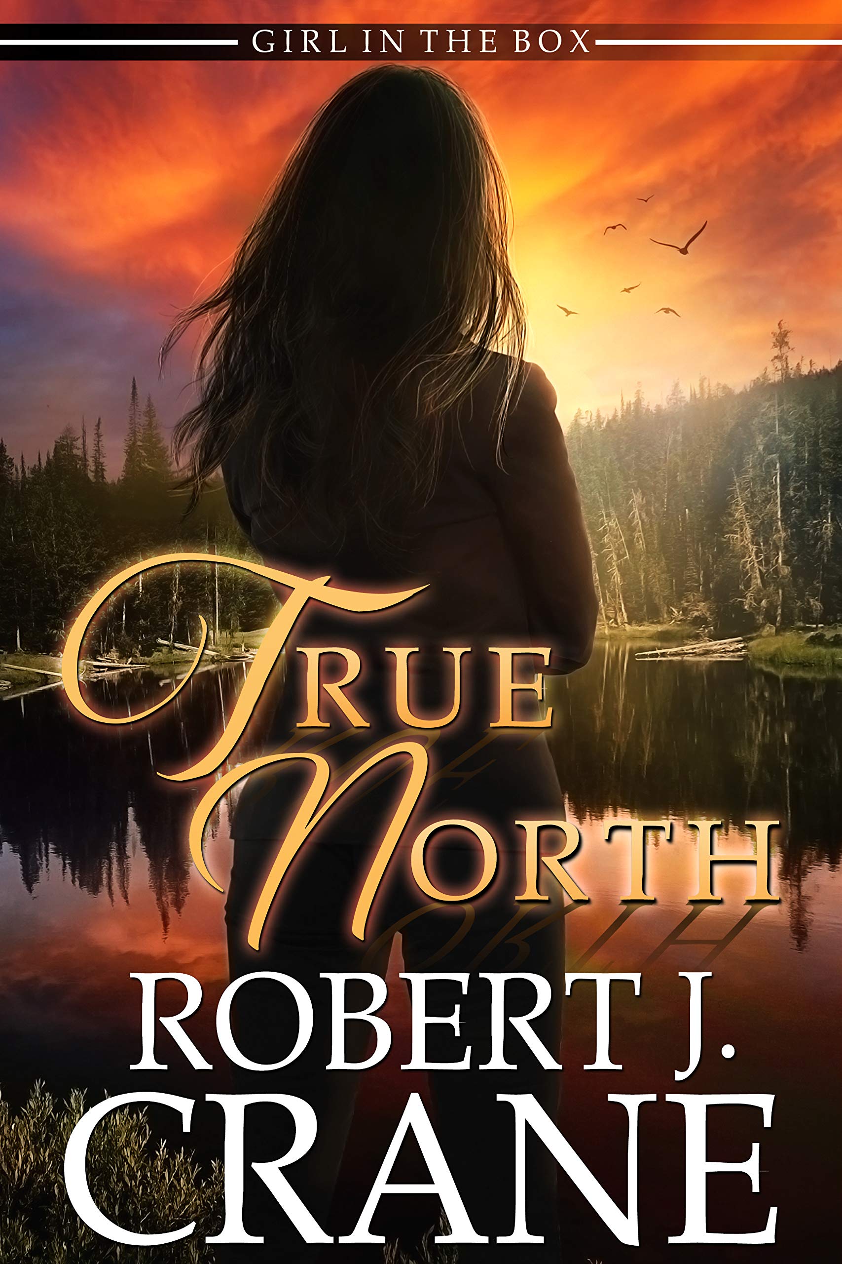 True North (The Girl in the Box/Out of the Box Universe #42; Out of the Box #32)