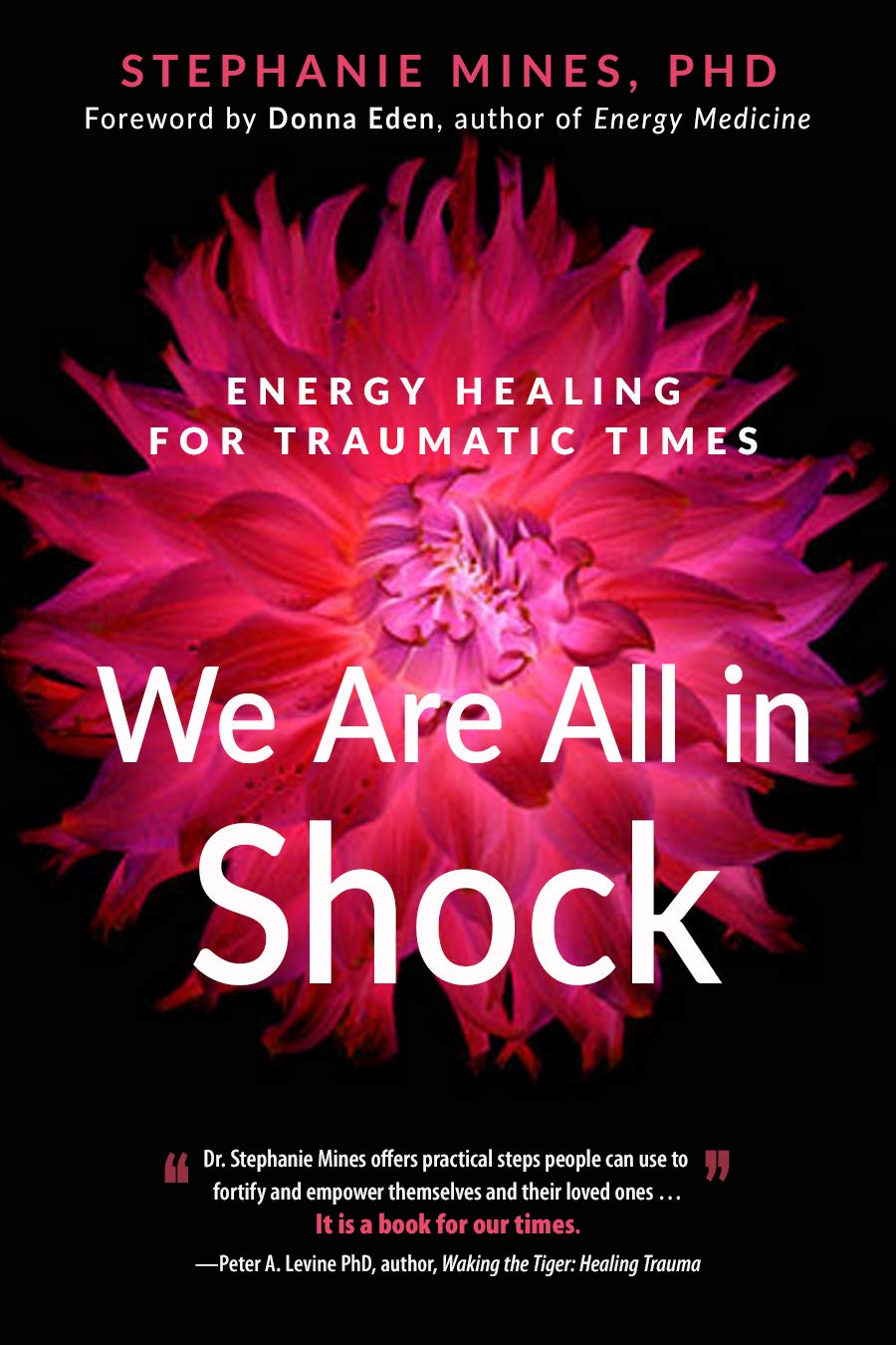 We Are All in Shock: Energy Healing for Traumatic Times (Kindle Edition)
