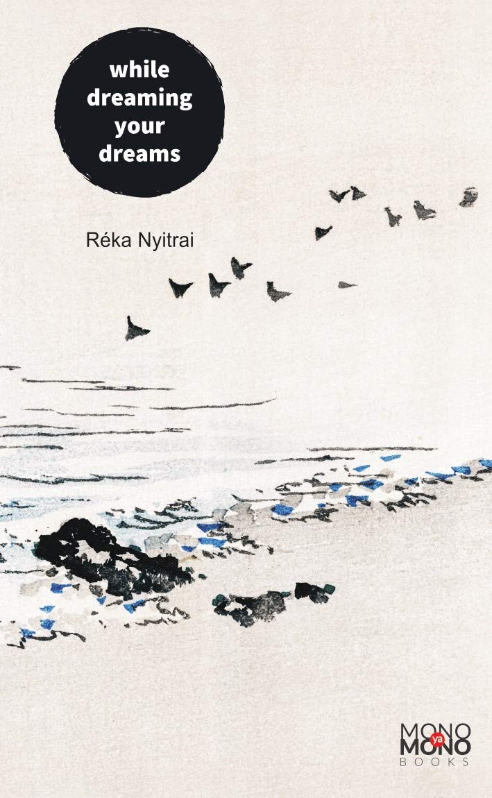 WHILE DREAMING YOUR DREAMS (Kindle Edition)