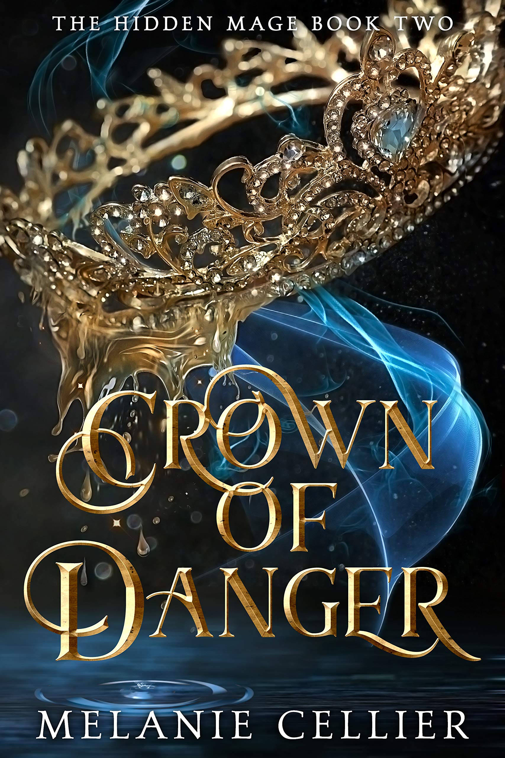 Crown of Danger (The Hidden Mage, #2)